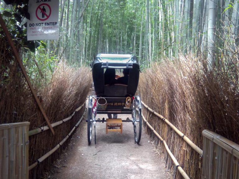 Japon-Arashiyama-Bamboo-Forest