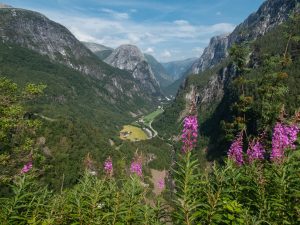 Naeroy-Valley-in-Gudvangen-Norway